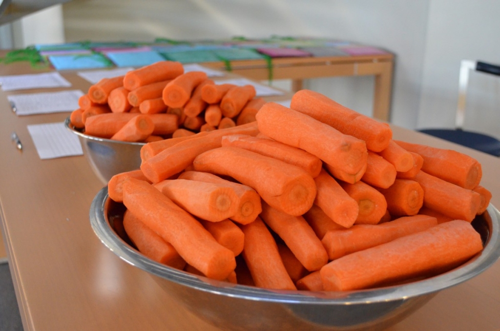 Fotoattēlam ilustratīva nozīme.
Autors: balticyouth.eu