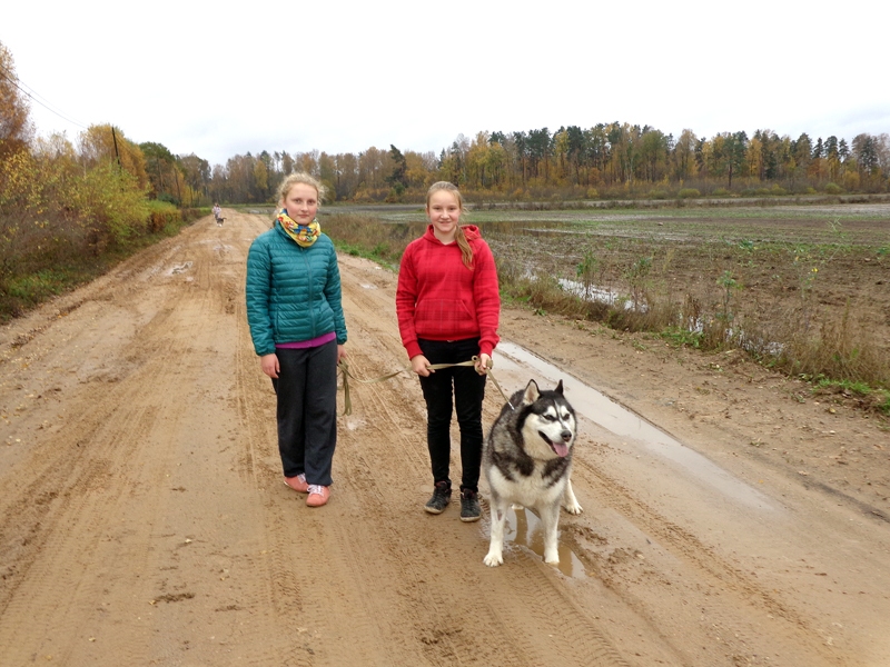 Pastaigas ar patversmē mītošajiem suņiem sagādāja jaunu pieredzi un daudz prieka.
Autors: no skolas albuma.