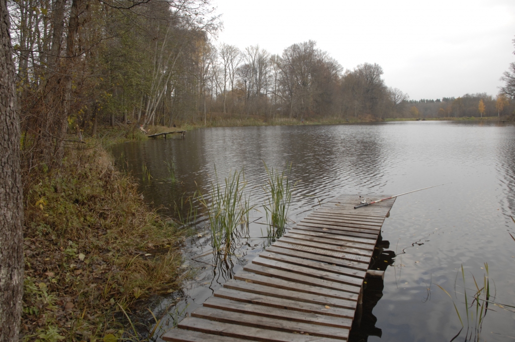 Svētdien zivis Bangu dīķī ķērās gaužām slikti.
Autors: Ivars Bogdanovs