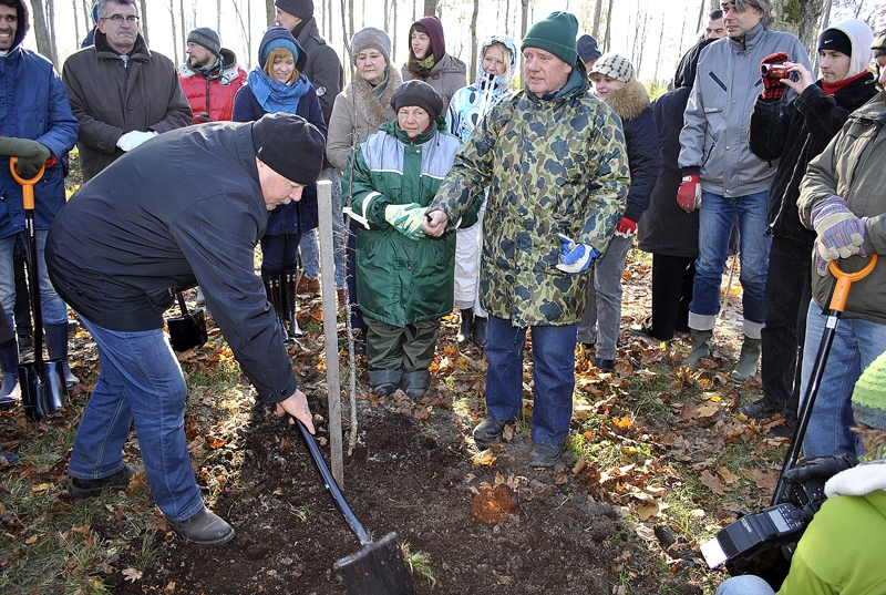 Pirmo kociņu paraugam iedēstīja stādu dāvātājs Jānis Bogdāns un Rundāles mežinieks Māris Sīmanis.
Autors: Antra Ērgle