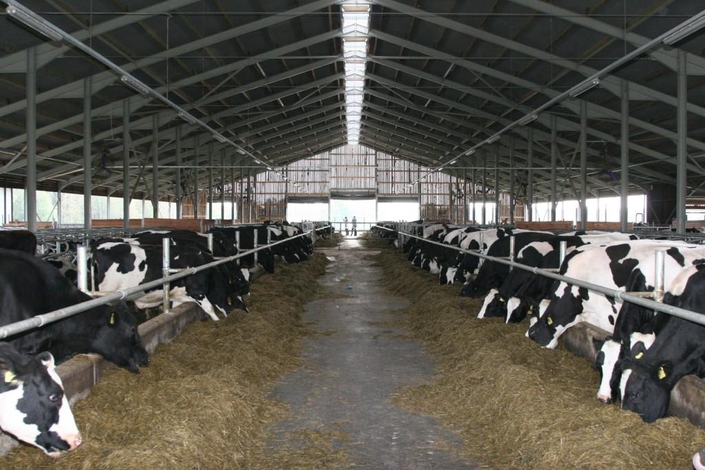 Attēlam ilustratīva nozīme.
Autors: no eliesma.lv