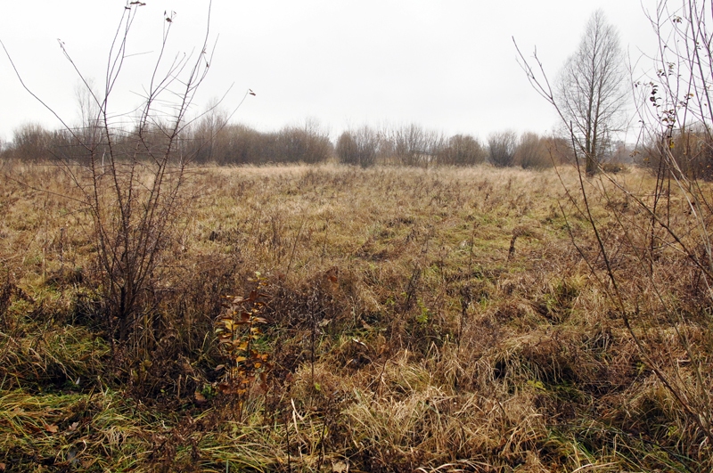 Aizaugoša lauksaimniecības zeme Zemgalē kļūst par retumu, un īpašniekiem vēl ir laiks to atkopt bez liekām formalitātēm un tēriņiem.
Autors: Ivars Bogdanovs