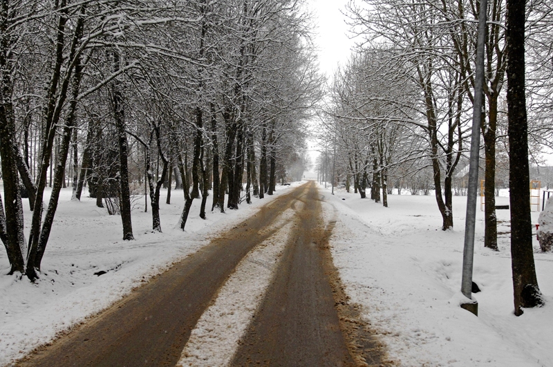 Bauskas novadā ielu un ceļu uzturēšanas darbiem līdz šī gada beigām atvēlēti 47 000 eiro. 
Autors: Ivars Bogdanovs