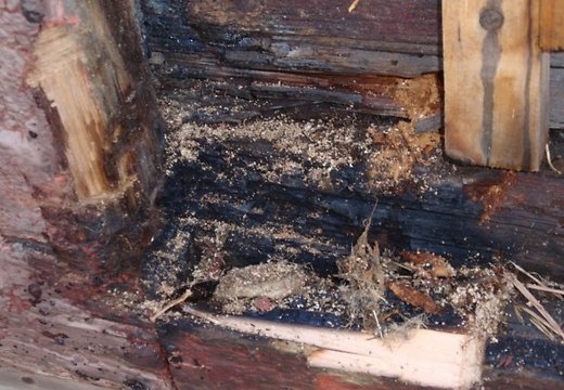 Fotoattēlam ilustratīva nozīme.
Autors: apollo.lv