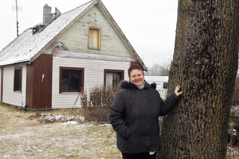 Ināra Vilciņa rāda ozolu, kura zaļais vainags reiz vasarā bija redzams no tālienes, bet nu tas klusi dus pagalmā.
Autors: Ivars Bogdanovs