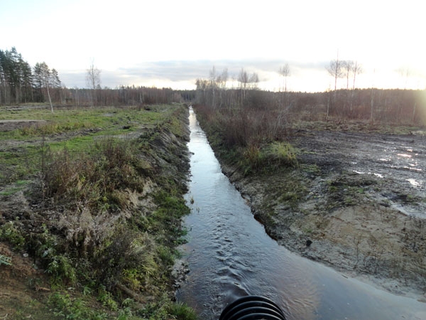 Fotoattēlam ilustratīva nozīme.
Autors: melioracija.lv