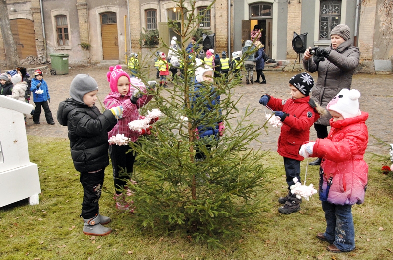 Bērnudārza «Pasaulīte» audzēkņi rotā vienu no muzeja pagalma eglītēm.
Autors: Ivars Bogdanovs