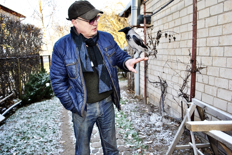 Vārna Goša saimnieku Egilu Biezo uzskata par «mammu».
Autors: Zane Gorškova