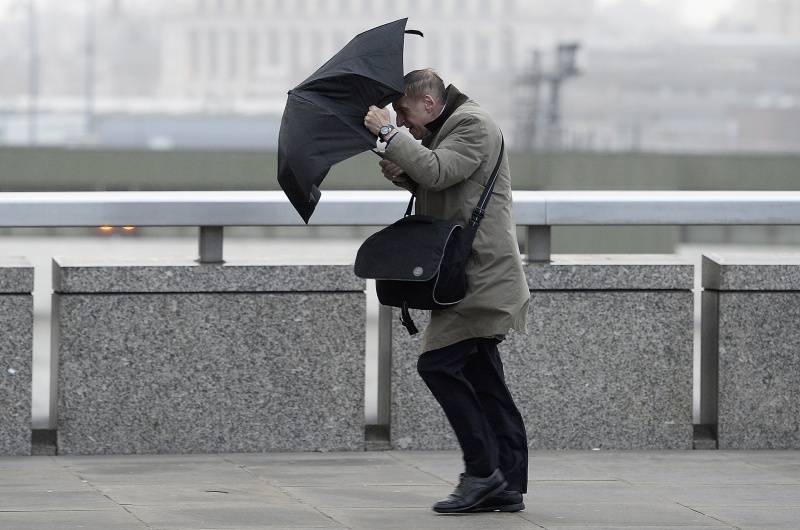 Autors: no kasjauns.lv