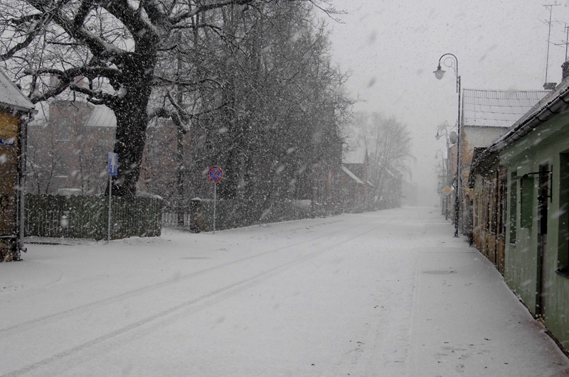 Snieg. Naktī uz otrdienu sola salu.
Autors: Ivars Bogdanovs