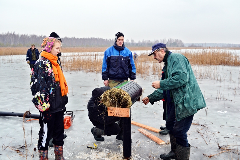 Vecsaules pagasta mednieku kluba biedrs Andrejs Podnieks (pa labi) ar jauniešiem veido pīļu ligzdu.
Autors: no kluba albuma.