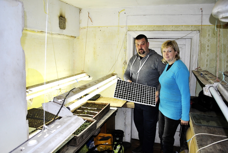 Ilona un Uldis Stankeviči paveikuši lielu darbu – kastītēs sasēti ap seši tūkstoši puķu sēklu. 
Autors: Māris Krūmiņš