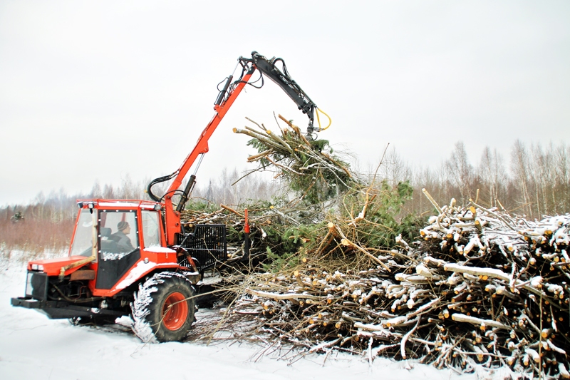 Pašgatavotais baļķu izvedējs darbībā.
Autors: Uldis Varnevičs