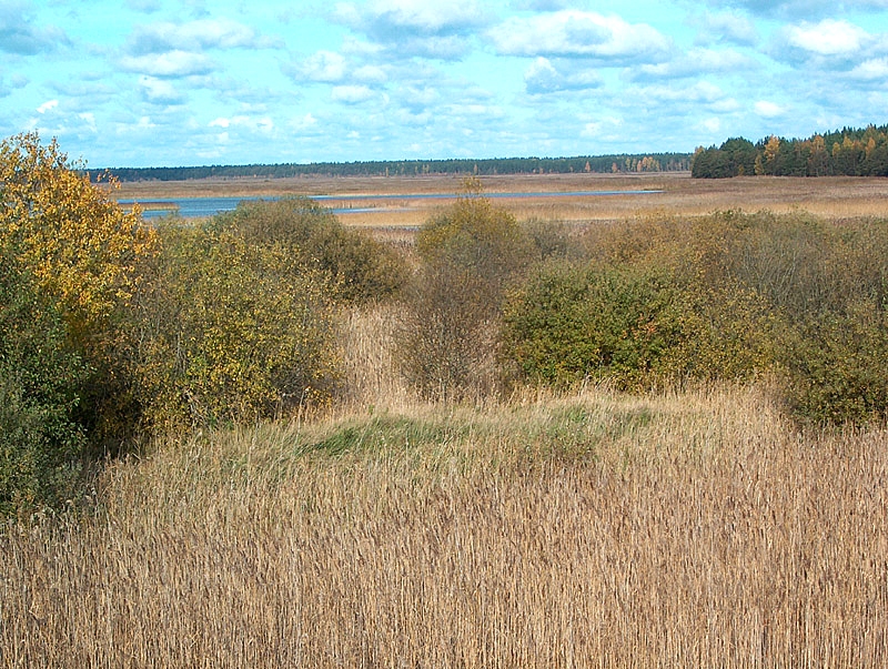 Autors: no «Bauskas Dzīves» arhīva.