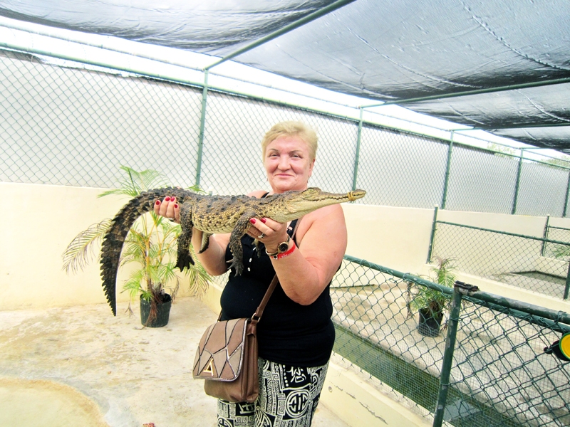 Krokodilēns pašas rokās – unikāls piedzīvojums!
Autors: no personiskā albuma