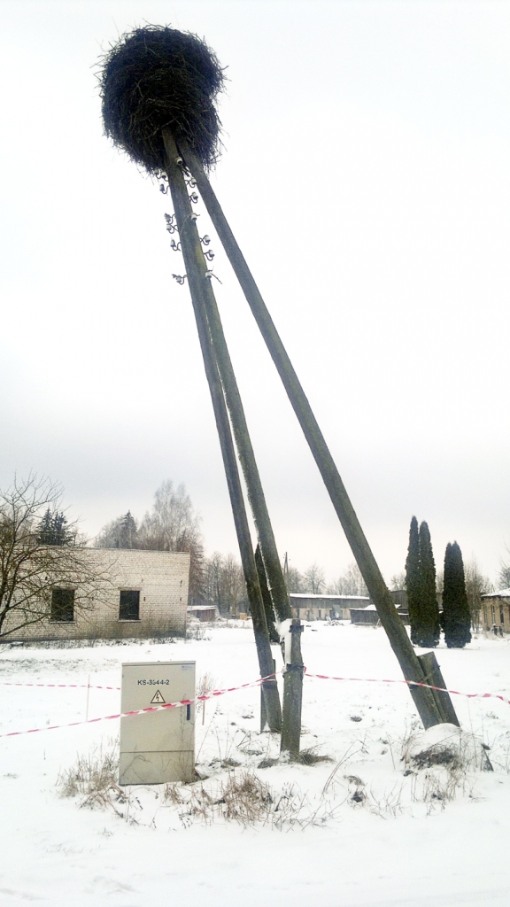 Bārbelē bija salūzis viens no stārķa ligzdas balstiem.
Autors: no a/s «Sadales tīkls» albuma.