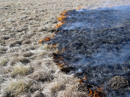 Autors: lat.gorod.lv