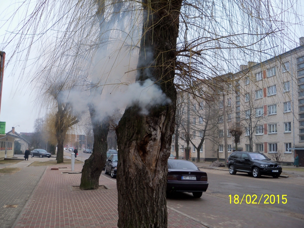 Autors: Aculiecinieka foto.