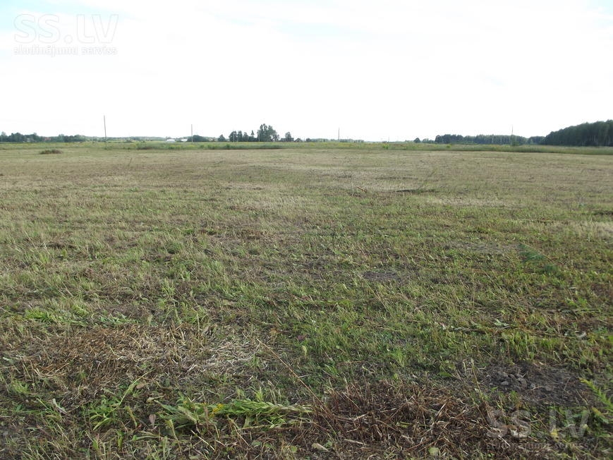 Autors: www.bauskasdzive.lv