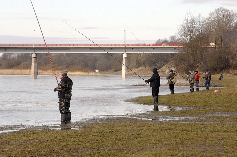 Mūsas krastā netālu no Bauskas stadiona pulcējas kupls skaits zivju tīkotāju.
Autors: Ivars Bogdanovs