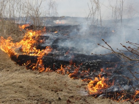 Autors: liepajniekiem.lv