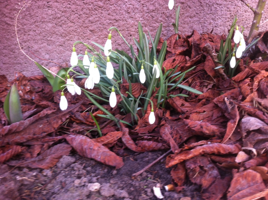 Autors: bauskasdzive.lv