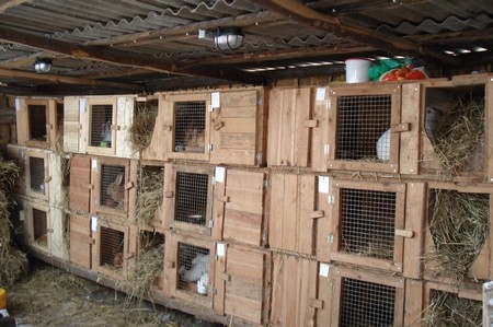 Autors: www.skirnestrusis.lv