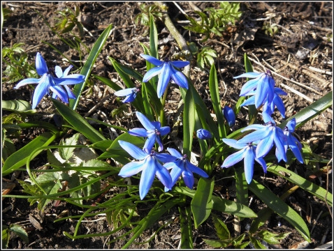 Autors: 4seasonsinfoto.wordpress.com