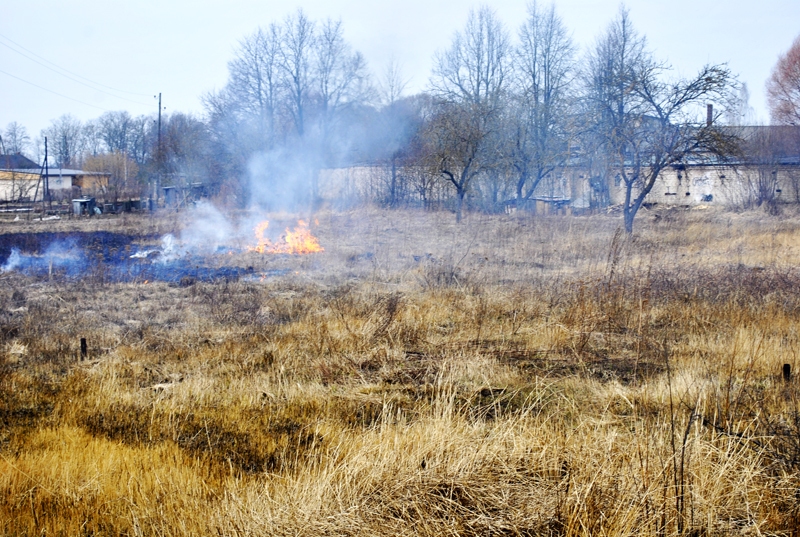 Liesmas visu pārņem un aprij, padara melnu un iznīcina... Tā notiek, ja slinkums pļaut.
Autors: Māris Krūmiņš