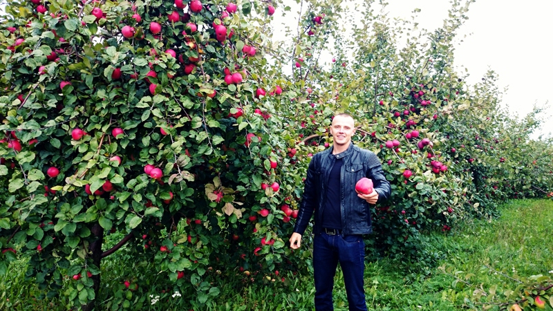 Kristaps Fišers vecāku ābeļdārzā atradis piemērotāko ābolu šķirni brendija gatavošanai. Foto no 2014. gada.
Autors: no personiskā albuma.