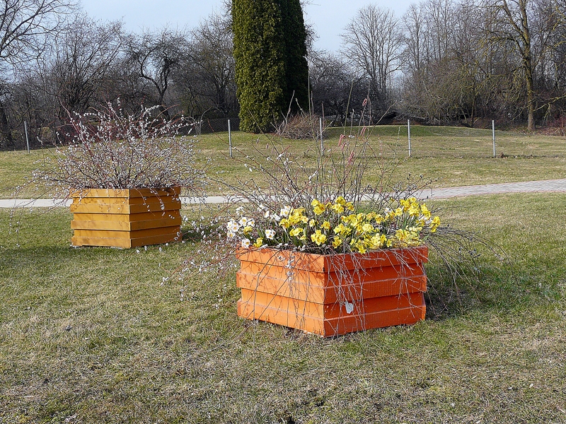 Autors: Daina Rudzīte