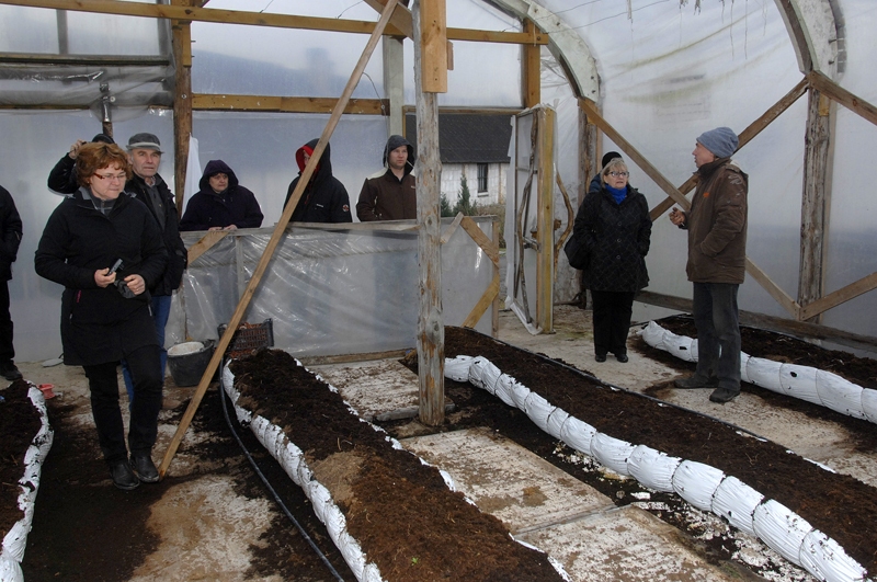 Andris Bite (no labās) rāda čehu zemniekiem siltumnīcā sagatavotos tuneļus, kuros drīz stādīs tomātu dēstus jaunajai ražai.
Autors: Ivars Bogdanovs