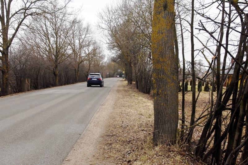 Ziedoņu ielā trotuāra izbūvei līdzās brauktuvei «Latvijas Valsts ceļi» nepiekrīt. Viņi to rosina darīt aiz kokiem, kur pašvaldībai savukārt jāatpērk zeme no privātīpašniekiem. Ja ielu savā pārziņā pārņemtu pašvaldība, trotuāru tā varētu būvēt, kur iecerēts. 

Autors: Ivars Bogdanovs