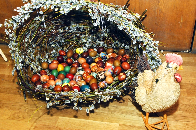 Ko darīt ar Lieldienās neapēstajām olām? Trīs varianti: salātos, skābeņu zupā vai viltotajā zaķī.
Autors: Ivars Bogdanovs