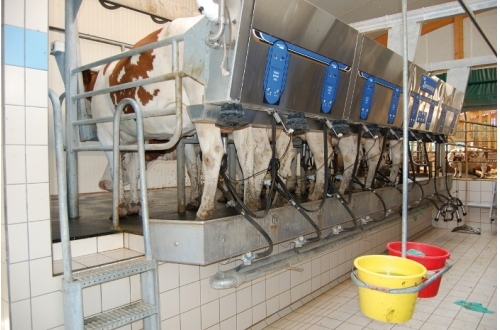 Autors: balticexport.com