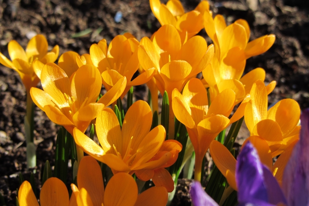 Autors: bauskasdzive.lv