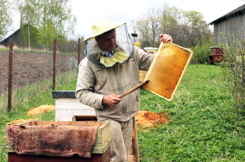 Biteniekiem šajā pavasarī ir bijis maz piemērota laika darbiem dravās, tādēļ jāsteidz izmantot siltās bezvēja stundas.
Autors: no «Bauskas Dzīves» arhīva