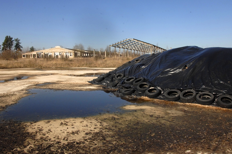 Autors: Ivars Bogdanovs