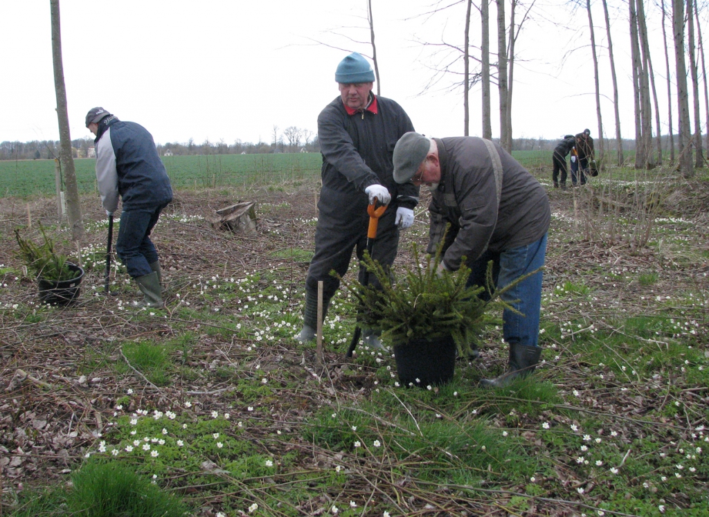 Bauskas uzņēmējiem koku stādīšanu Rundāles pils mežaparkā ierāda pieredzējušais mežkopis Māris Sīmanis (centrā).
Autors: Vilnis Auzāns