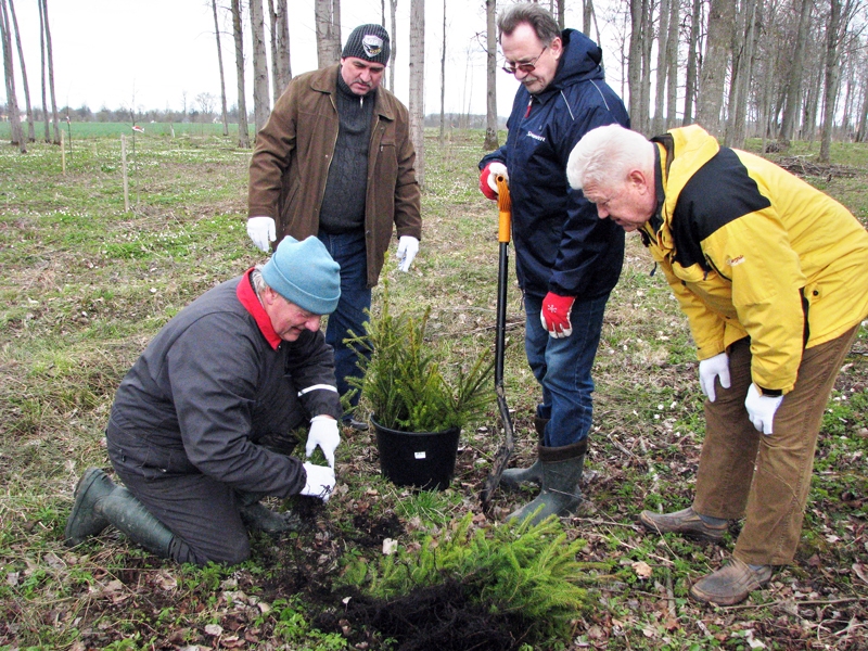 Rundāles pils mežkopis Māris Sīmanis (no kreisās) ierāda darbu Bauskas uzņēmējiem Indulim Pētersonam, Uldim Kolužam un Jurim Bočam. 
Autors: Vilnis Auzāns