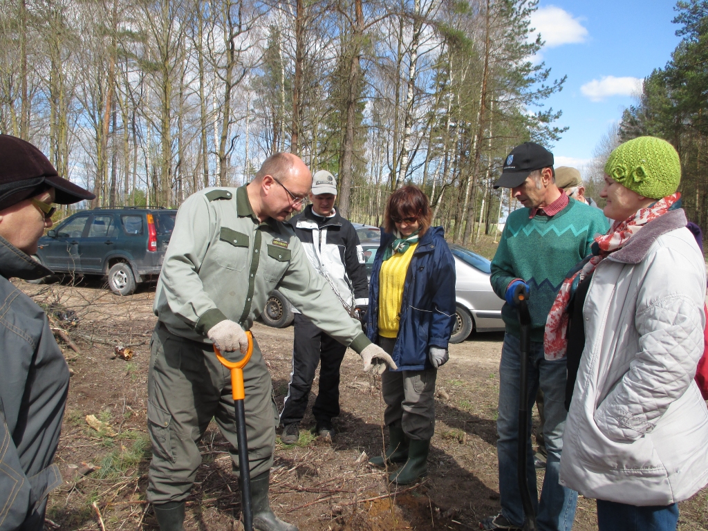 Imants Folkmanis (no kreisās) ierāda koku stādīšanas tehniku Sarmītei Avotai (no labās), Andrim Kopeikam, Annai Žīgurei un Alvilam Štībelim.
Autors: No albuma.