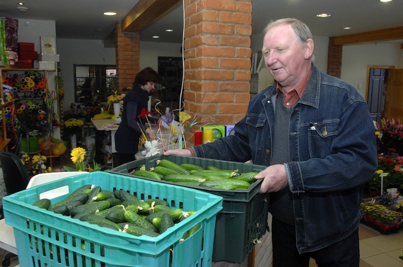 SIA «Ints un Co» siltumnīcās pirmdienas rītā nolasītos gurķus uz veikalu «Rozīte» atvedis uzņēmuma darbinieks Elmārs Platais.
Autors: Ivars Bogdanovs