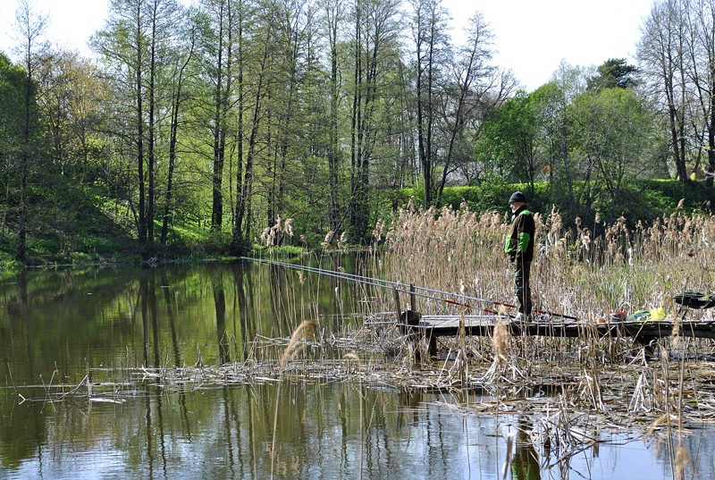 Autors: Māris Krūmiņš