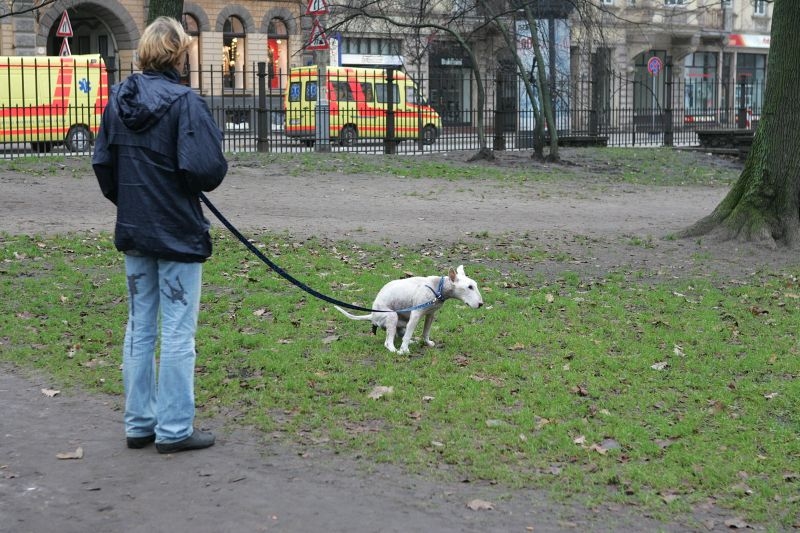 Fotoattēlam ilustratīva nozīme.
Autors: lvportals.lv