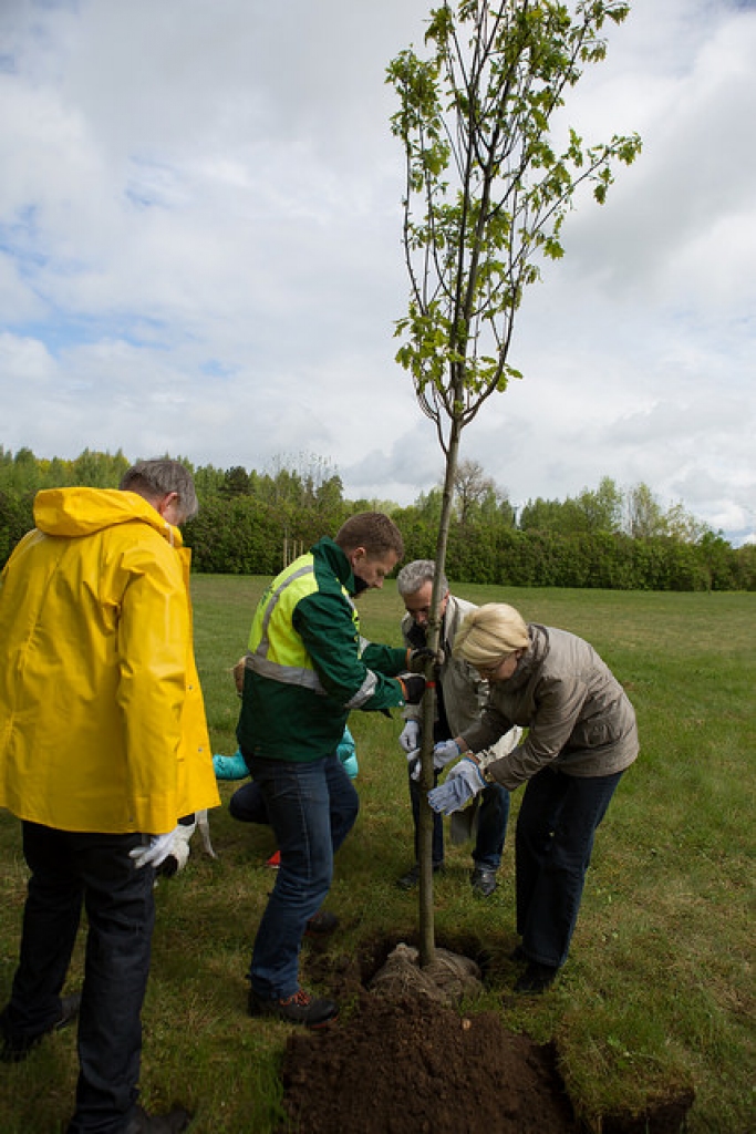 Aluksniesiem.lv raksta attēla aizvietotājs