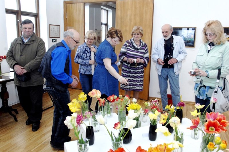 Autors: Ivars Bogdanovs