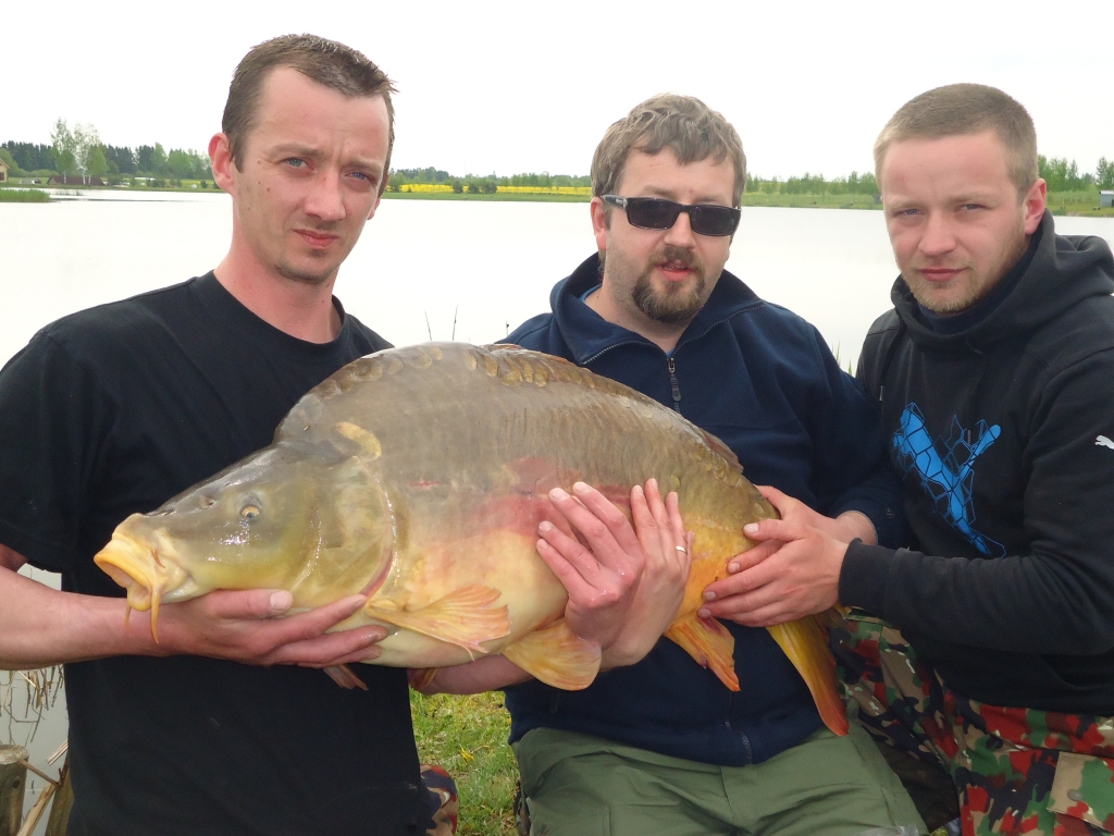 Vecumnieku novada Valles pagastā lauku tūrisma un atpūtas parka «Makšķernieku paradīze» ūdenskrātuvē trešdien, 20. maijā, noķerta 24,71 kilogramu smaga karpa, kas pēc publiski pieejamiem datiem var pretendēt uz jaunu Latvijas rekordu.
Autors: no lauku tūrisma un atpūtas parka 