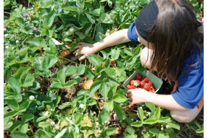 Autors: dzirkstele.lv