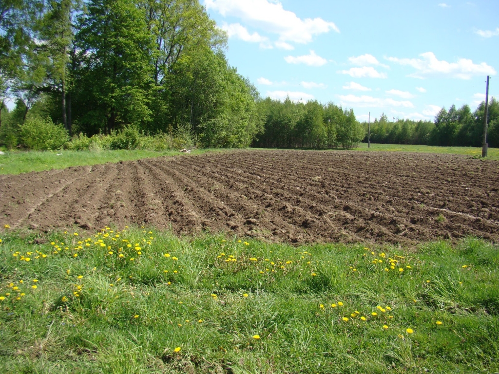Attēlam ir ilustratīva nozīme.