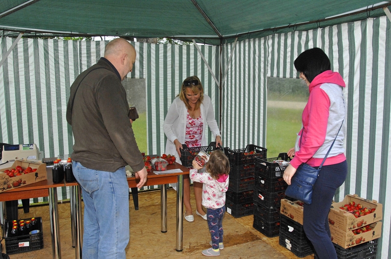 Pirmās «Lepšu» zemenes pie saimnieces Daigas Upenieces steidz iegādāties Ilze Riba, viņas tētis Jānis Jēkabsons un meita Samanta. 
Autors: Ivars Bogdanovs